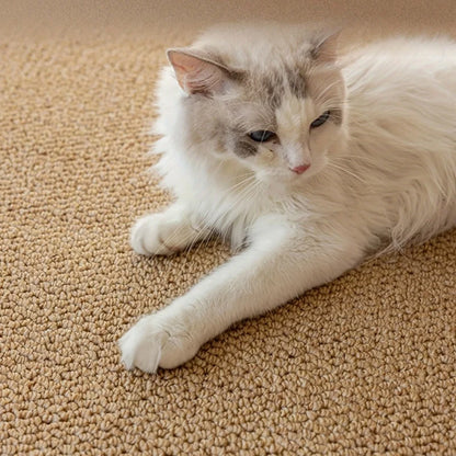 Pet Scratching Mat