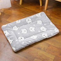 Gray bear