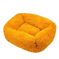 Orange Yellow